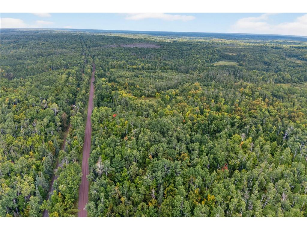 64838 Kingsdale Road New Dosey Twp MN 55072 7047050 image5