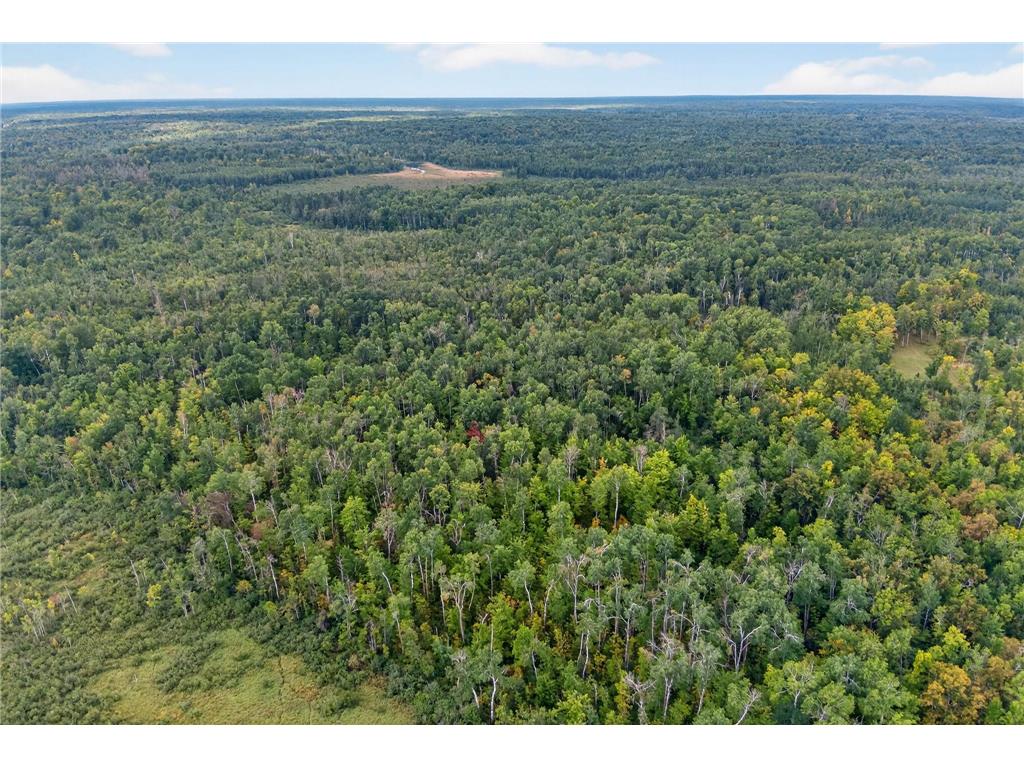 64838 Kingsdale Road New Dosey Twp MN 55072 7047050 image6