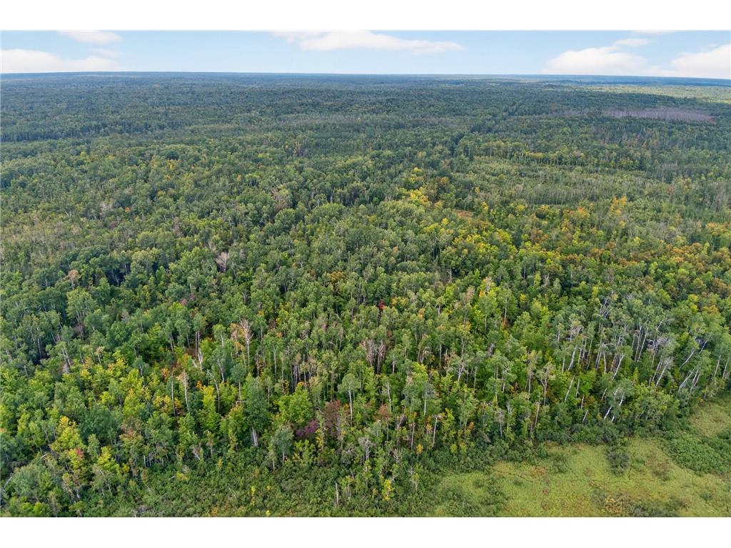 64838 Kingsdale Road New Dosey Twp MN 55072 7047050 image7