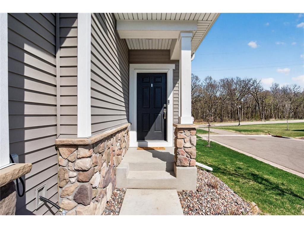 6497 Inspire Circle S Cottage Grove MN 55016 7061869 image3