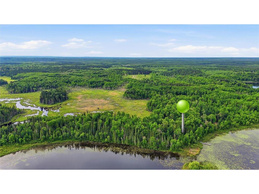 64995 S Fishermans Trail Effie MN 56639 - Pickeral Lake 7100687 image23