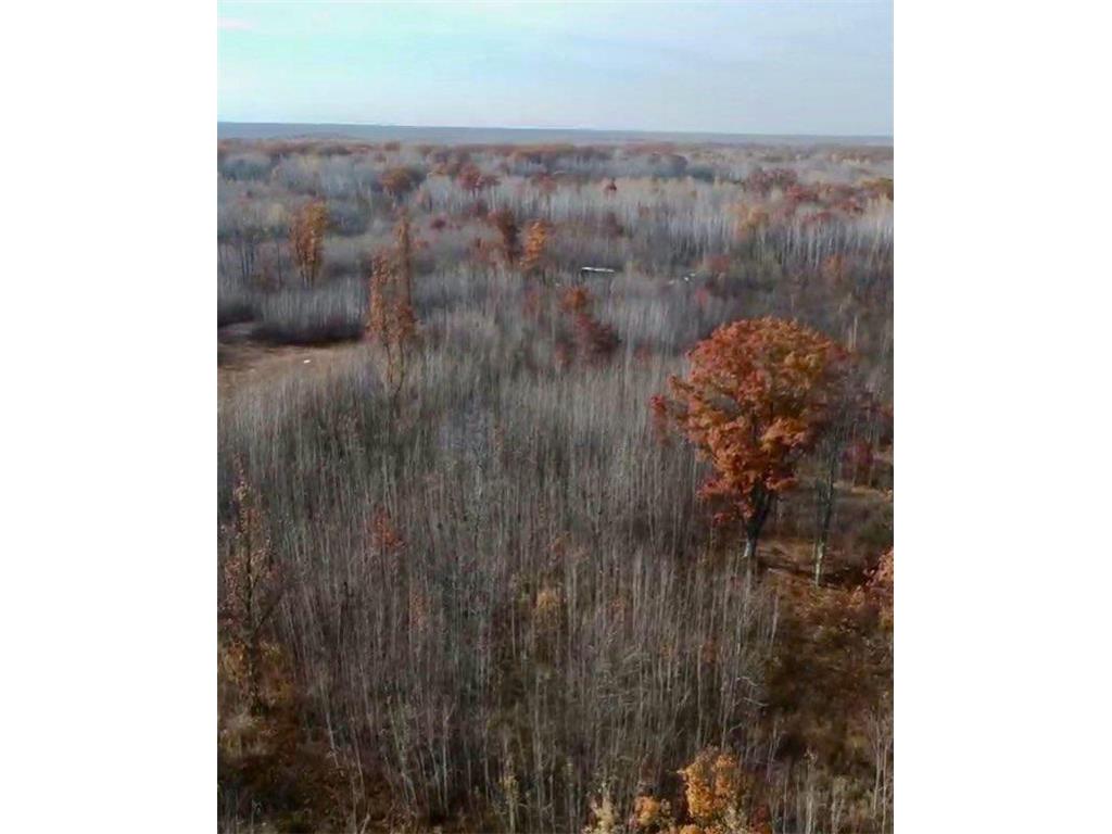 64997 Rutabaga Road New Dosey Twp MN 55072 7050513 image10