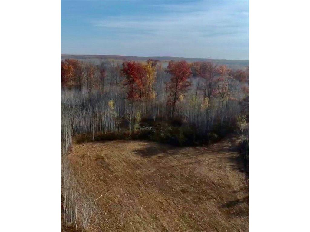 64997 Rutabaga Road New Dosey Twp MN 55072 7050513 image3