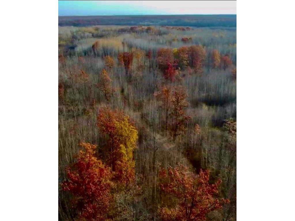 64997 Rutabaga Road New Dosey Twp MN 55072 7050513 image4