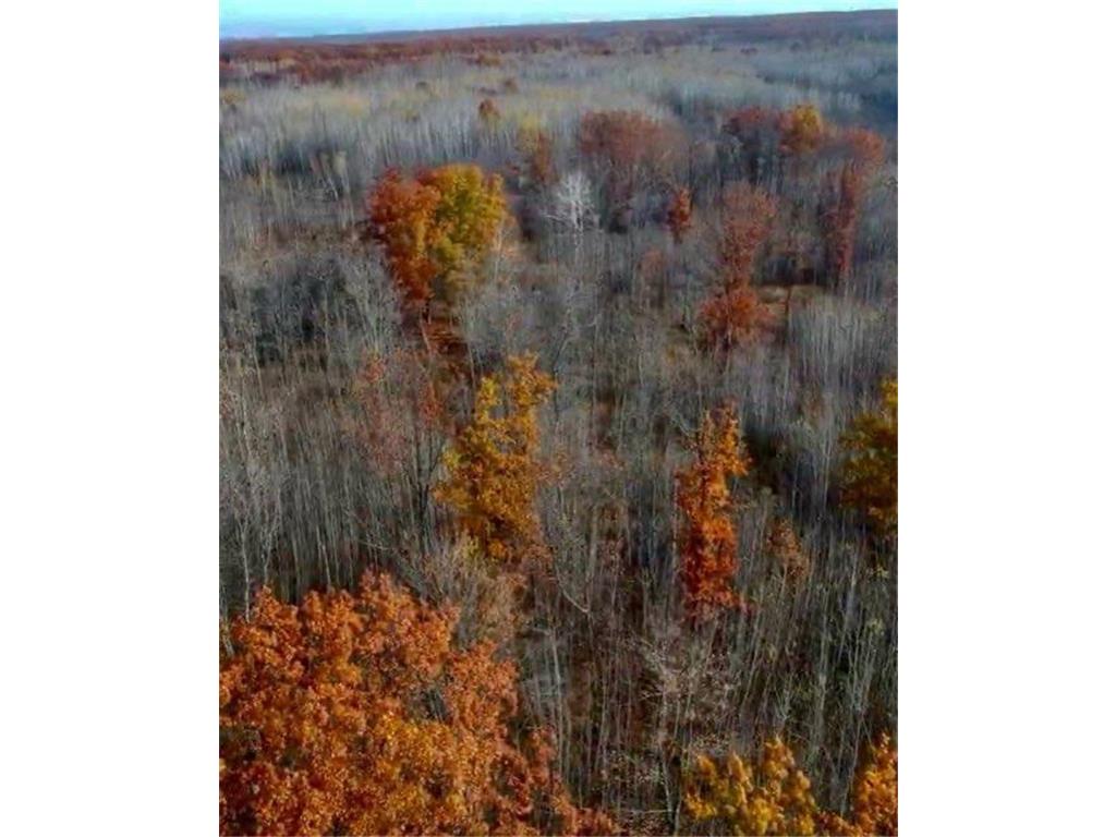 64997 Rutabaga Road New Dosey Twp MN 55072 7050513 image7