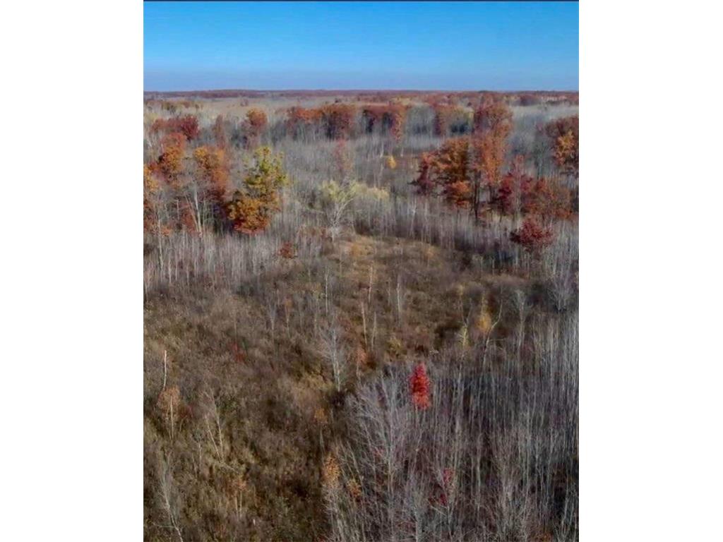 64997 Rutabaga Road New Dosey Twp MN 55072 7050513 image9