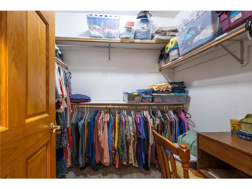 65 202nd Street #M Alden Twp WI 54026 7088206 image28