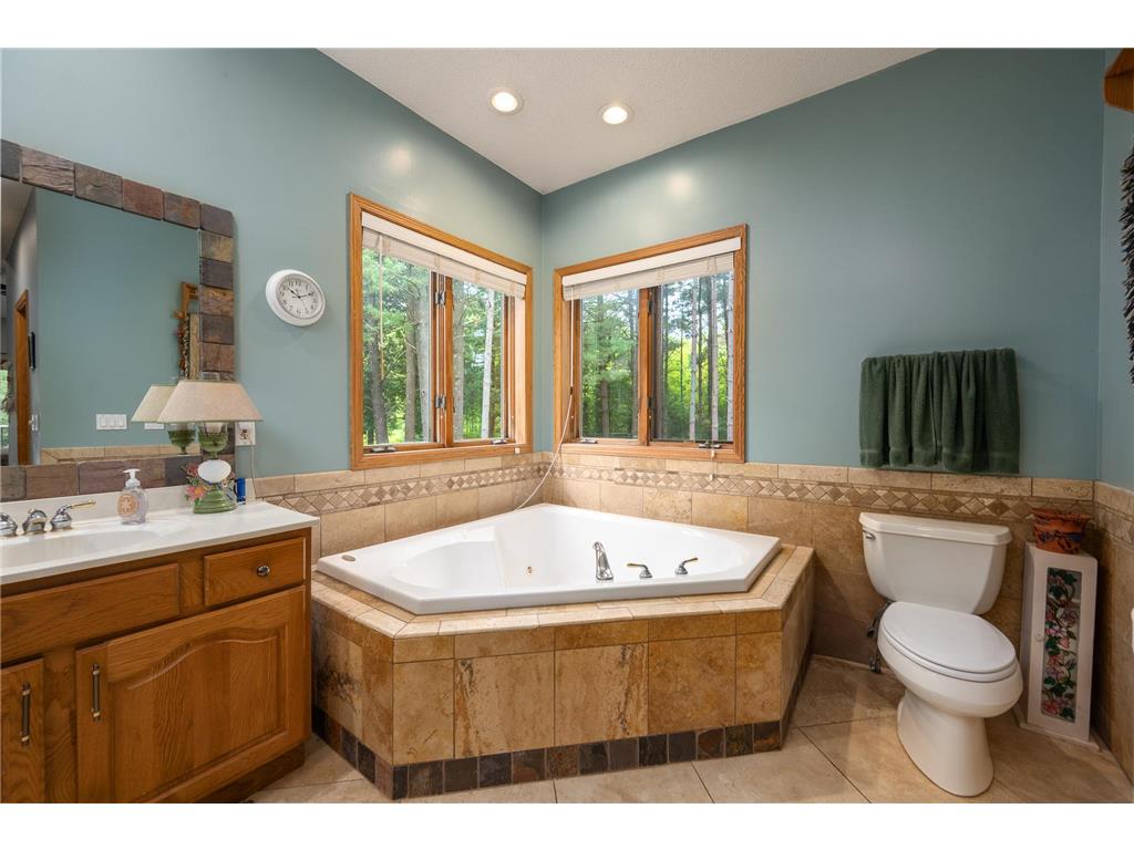 65 202nd Street #M Alden Twp WI 54026 7088206 image29