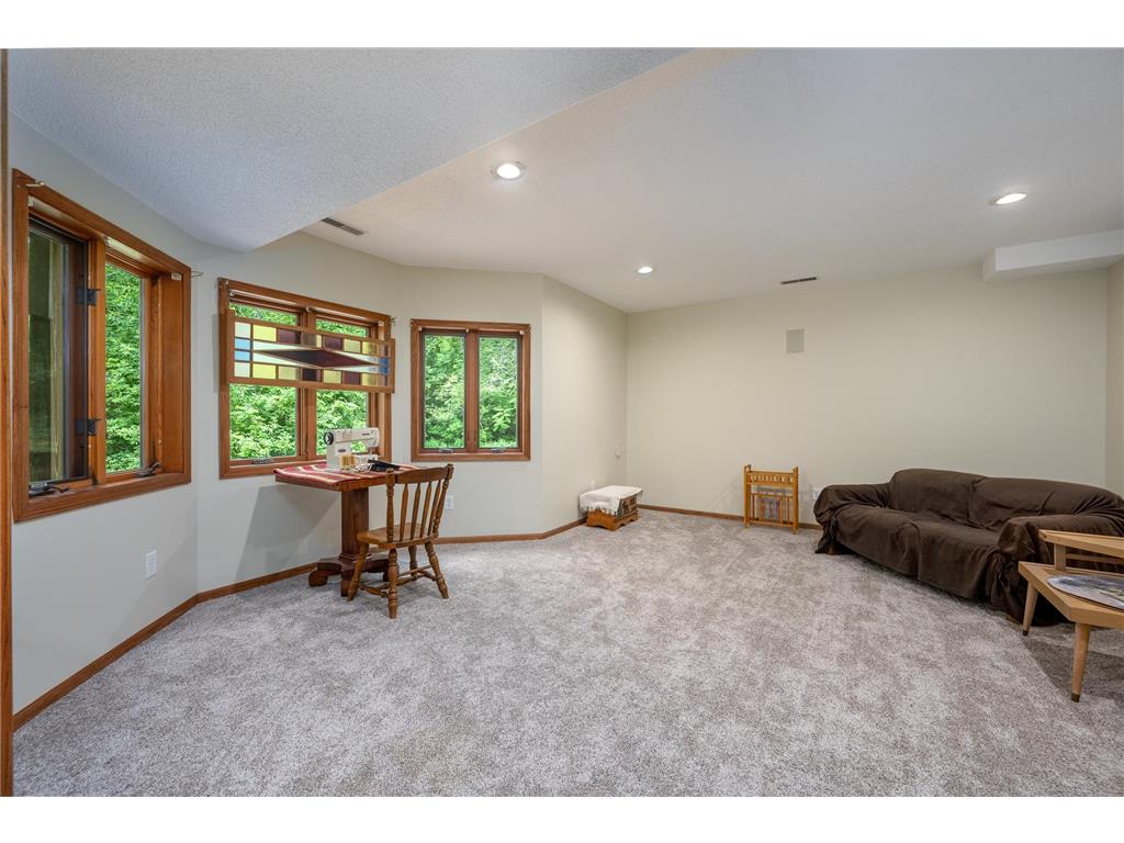 65 202nd Street #M Alden Twp WI 54026 7088206 image37