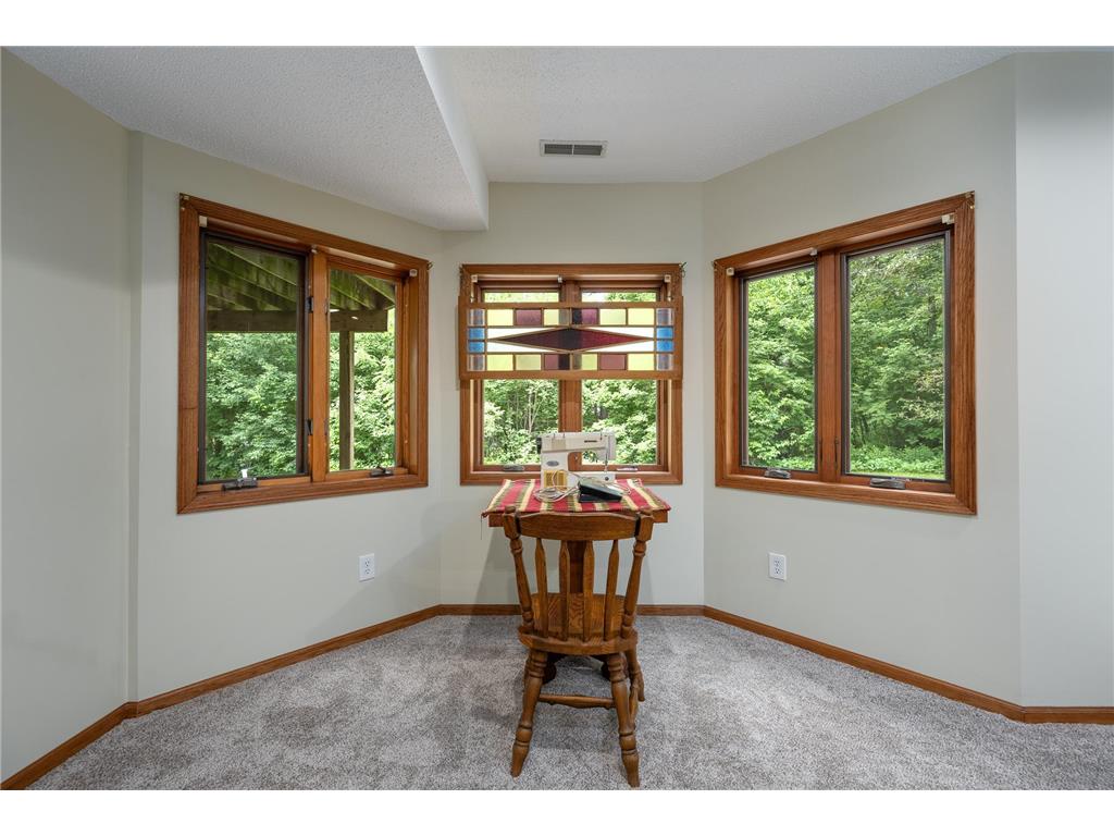65 202nd Street #M Alden Twp WI 54026 7088206 image39