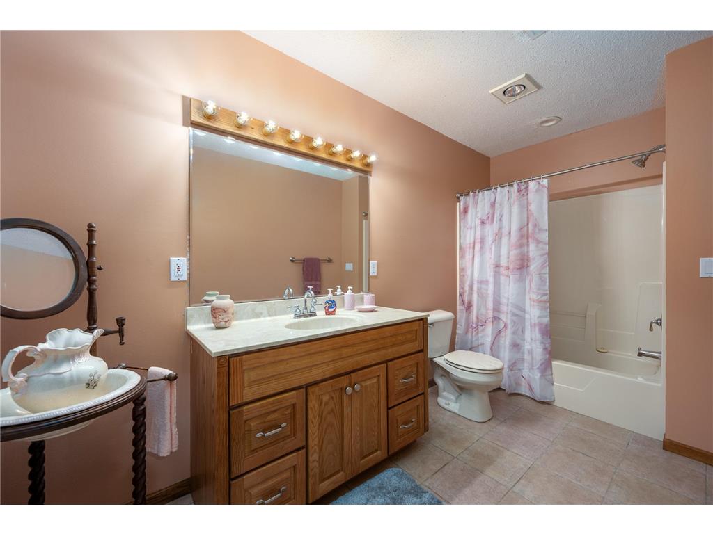 65 202nd Street #M Alden Twp WI 54026 7088206 image44