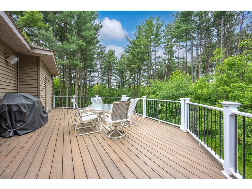 65 202nd Street #M Alden Twp WI 54026 7088206 image47