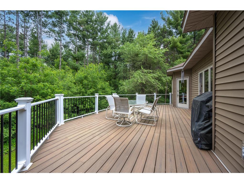 65 202nd Street #M Alden Twp WI 54026 7088206 image48