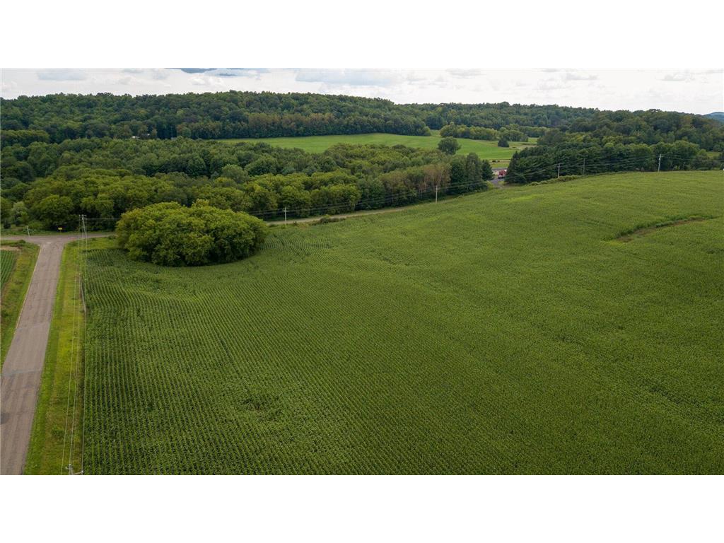 65.25 Acres 550th Street Menomonie WI 54751 6442993 image1