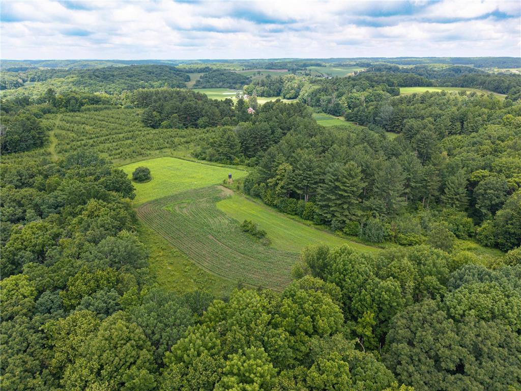 65 7 1/2 Street Prairie Farm WI 54762 - Hay River 7099869 image31