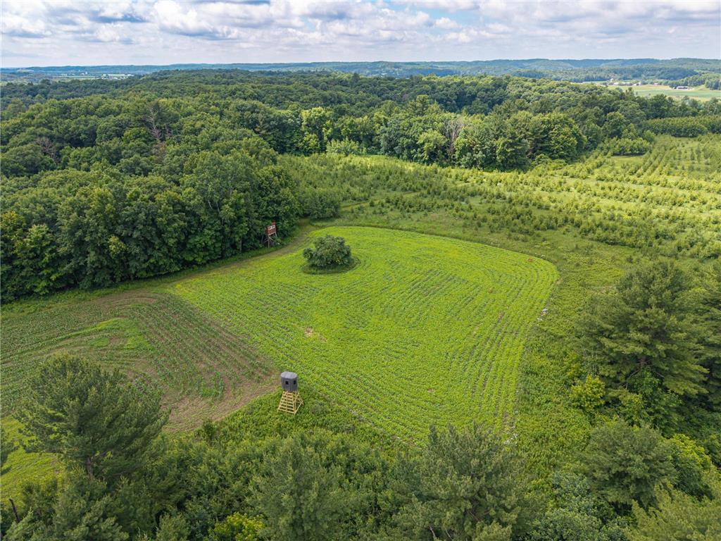 65 7 1/2 Street Prairie Farm WI 54762 - Hay River 7099869 image32