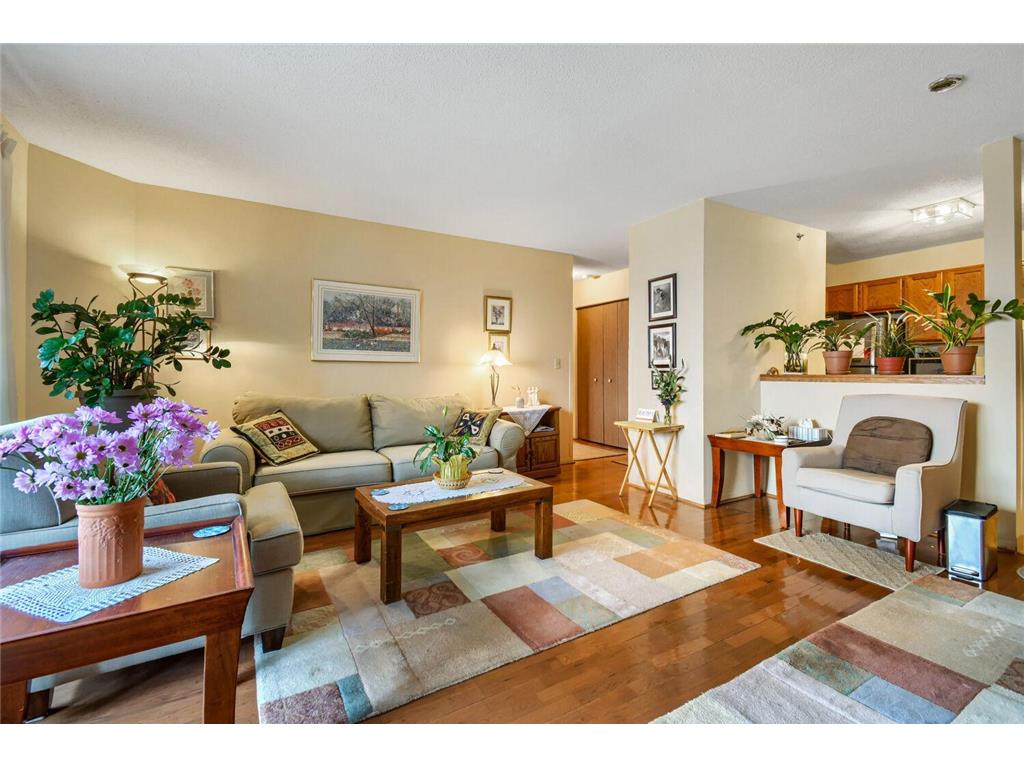 6500 Woodlake Drive #1003 Richfield MN 55423 7075211 image5