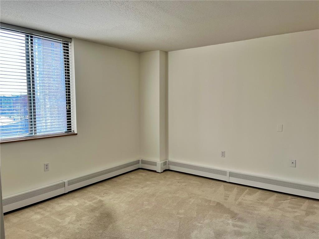 6500 Woodlake Drive #313 Richfield MN 55423 7052576 image5