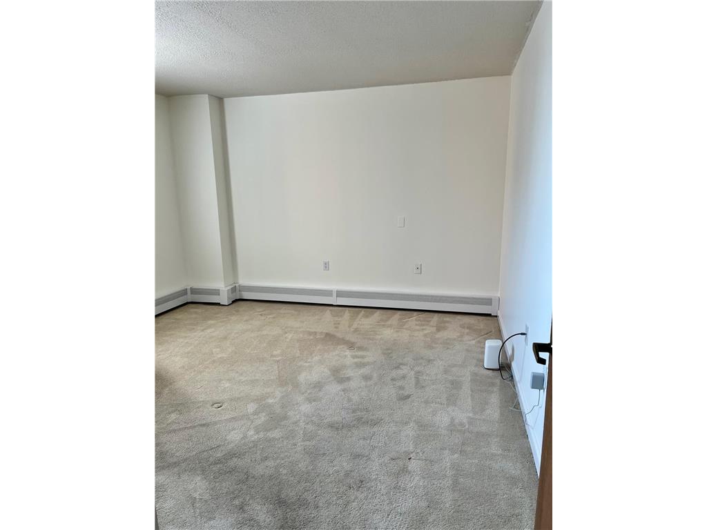 6500 Woodlake Drive #313 Richfield MN 55423 7052576 image6