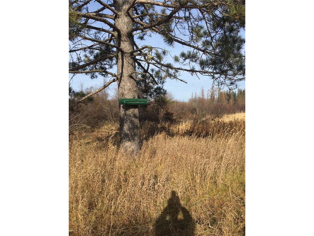 6501 Highway 169 Tower MN 55790 7039704 image10