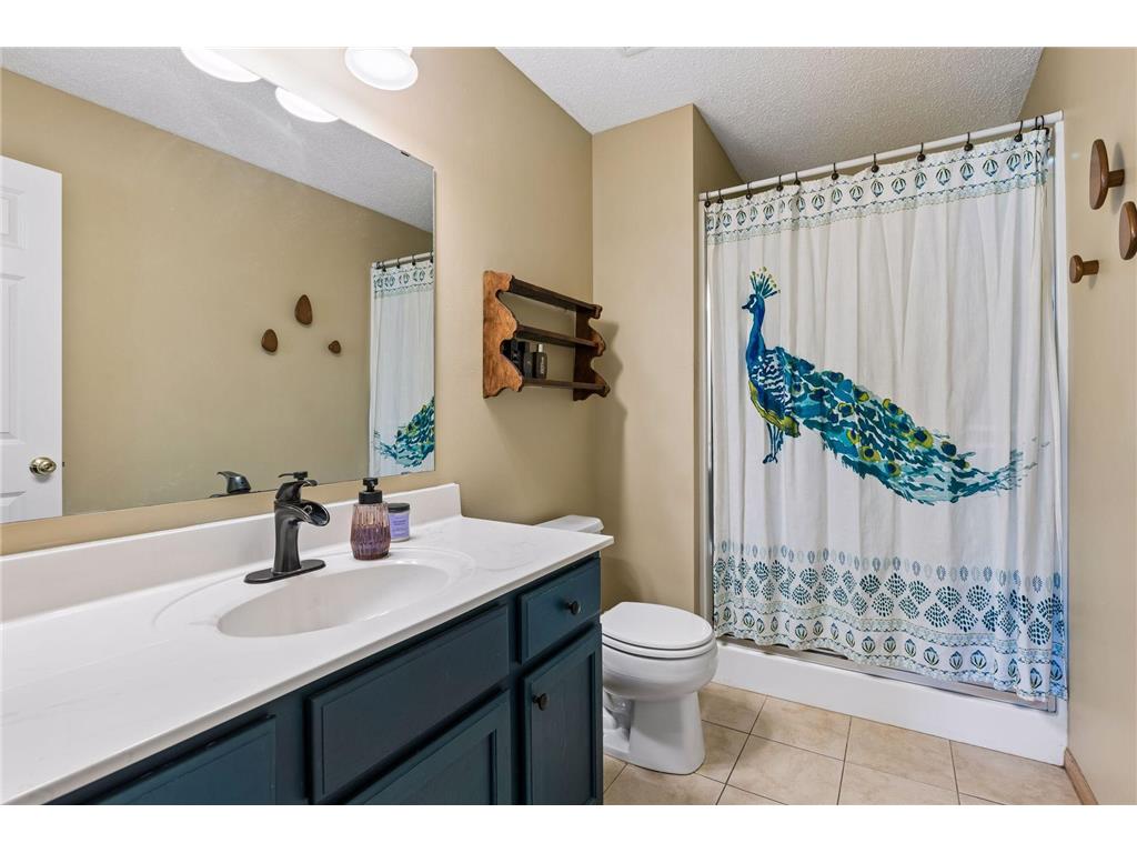 6503 Brook Lane Savage MN 55378 7085011 image17