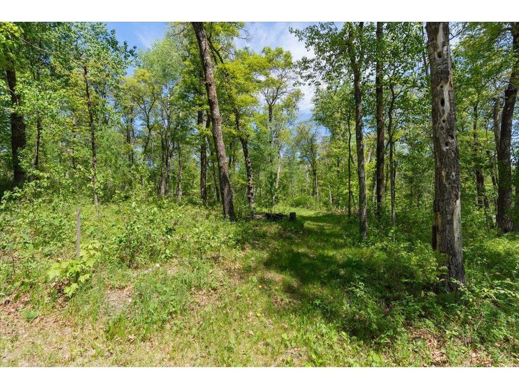 6504 S Sluetter Road Pequot Lakes MN 56472 - Mayo 7079318 image32