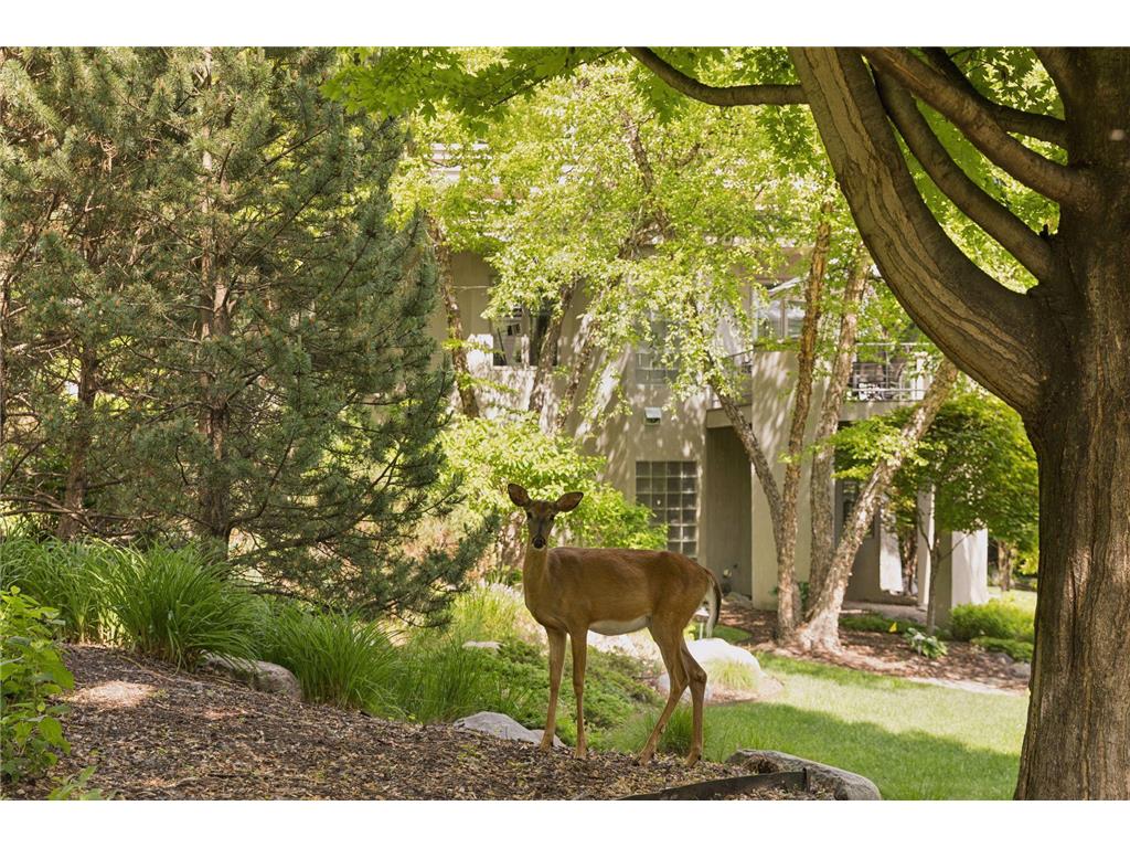 6504 Stauder Circle Edina MN 55436 7094725 image101