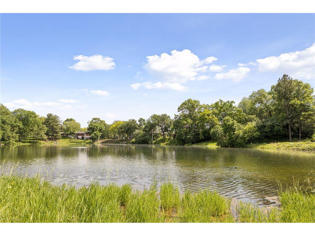 6504 Stauder Circle Edina MN 55436 7094725 image96