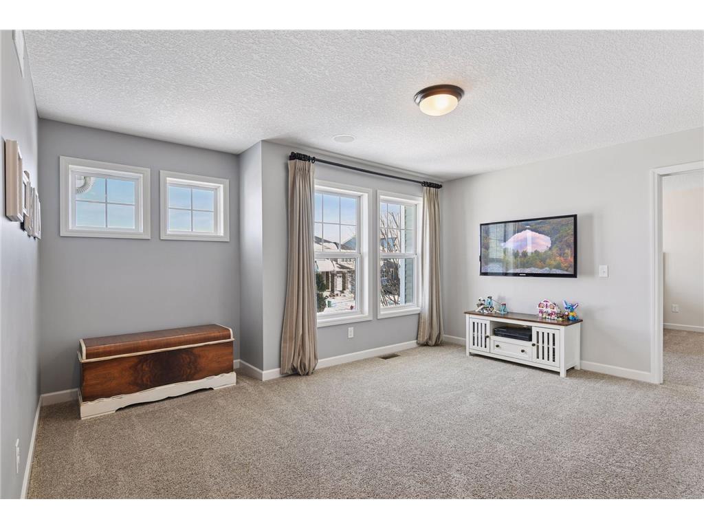 6507 Carriage Way Corcoran MN 55340 6820985 image29