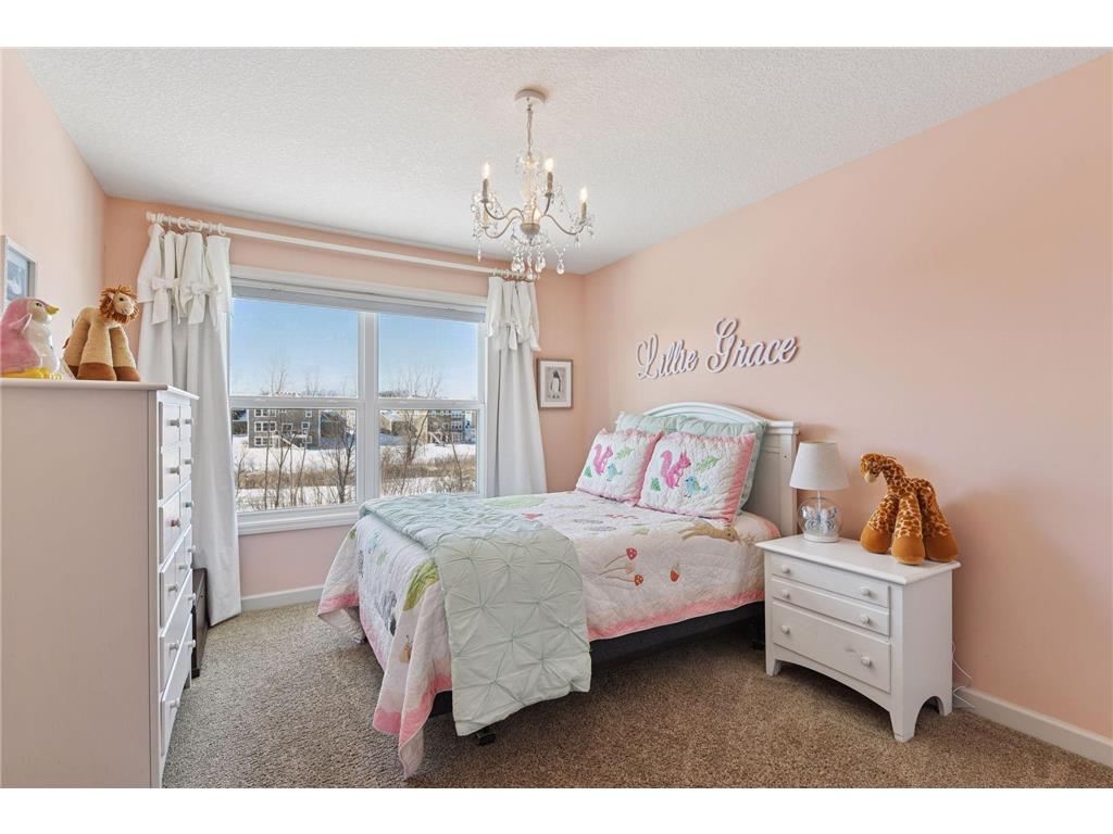 6507 Carriage Way Corcoran MN 55340 6820985 image33