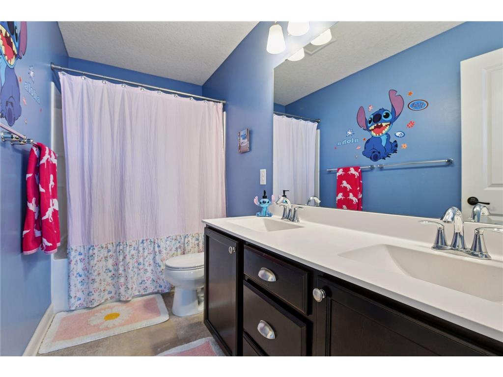 6507 Carriage Way Corcoran MN 55340 6820985 image34