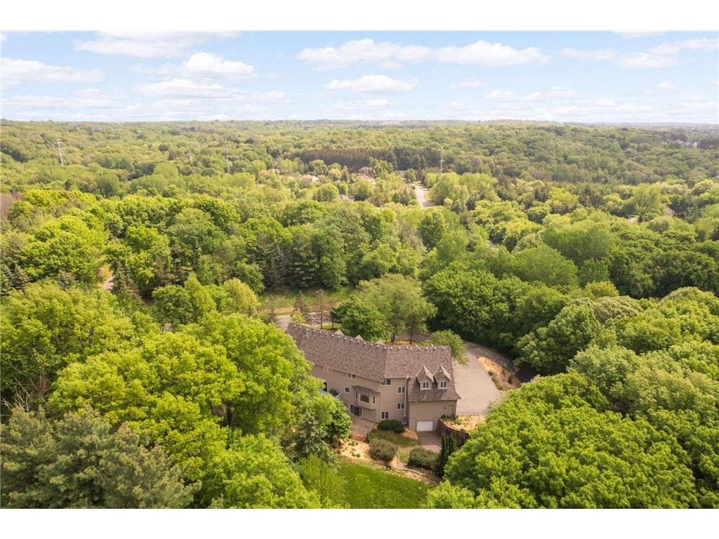 6507 Orchard Ridge Trail Woodbury MN 55129 6815179 image48