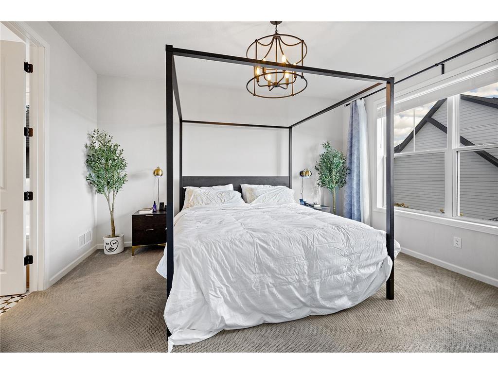 6510 Harvest Way Chaska MN 55318 6826088 image29