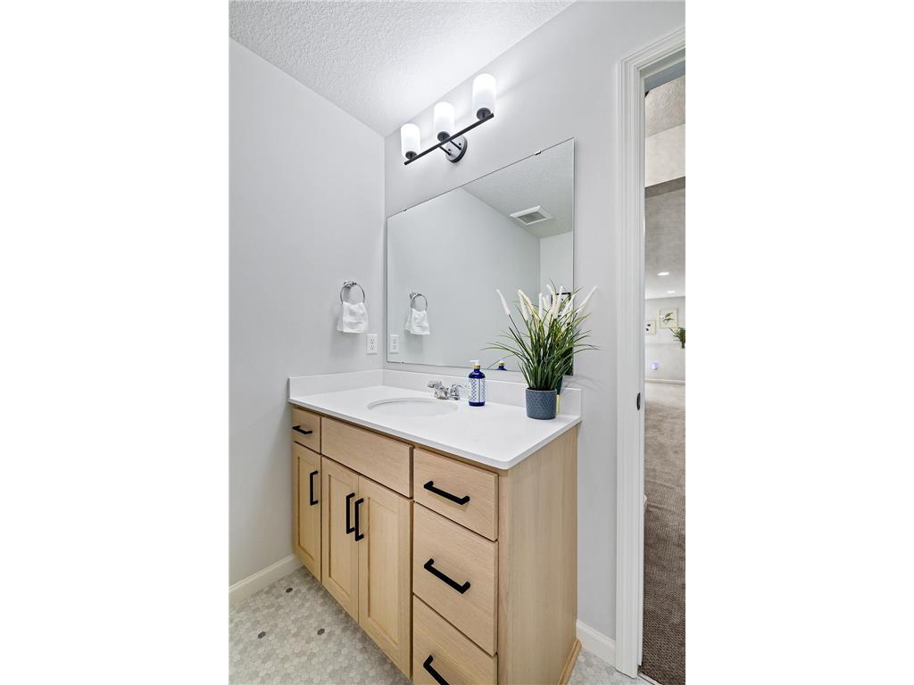 6510 Harvest Way Chaska MN 55318 6826088 image44