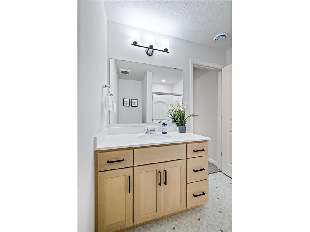 6510 Harvest Way Chaska MN 55318 6826088 image46