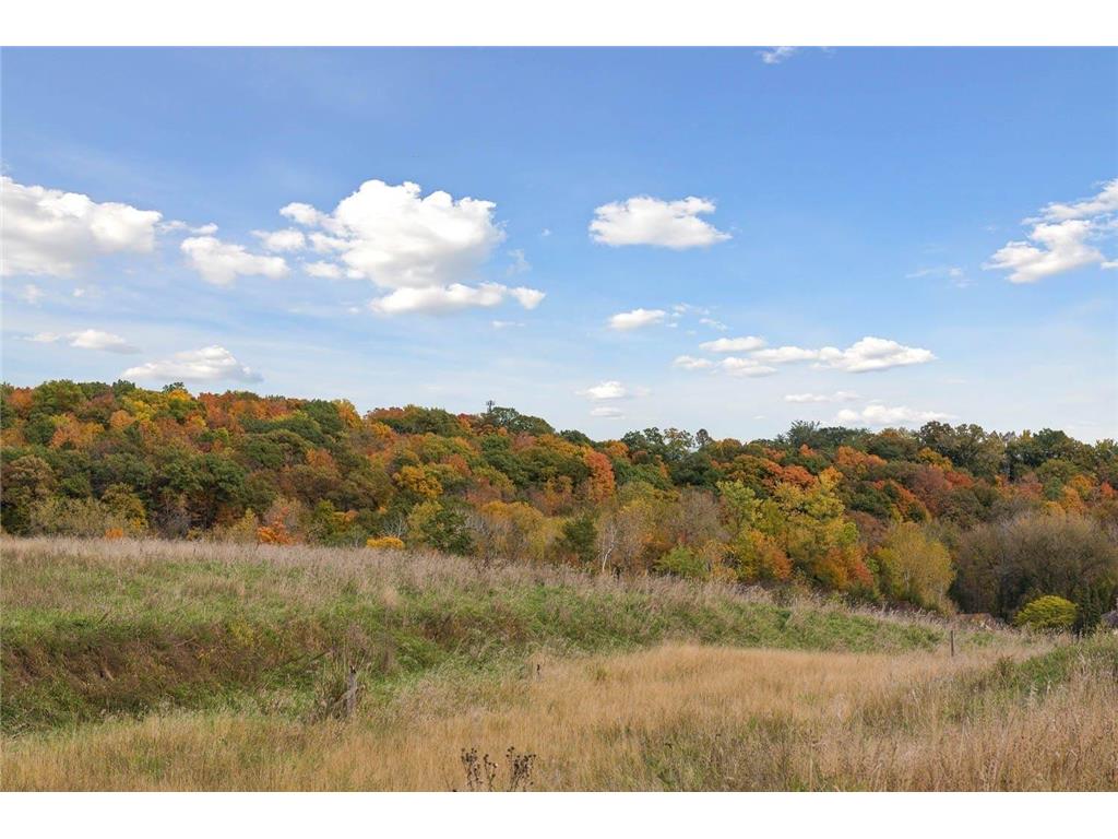 6510 Harvest Way Chaska MN 55318 7040905 image46