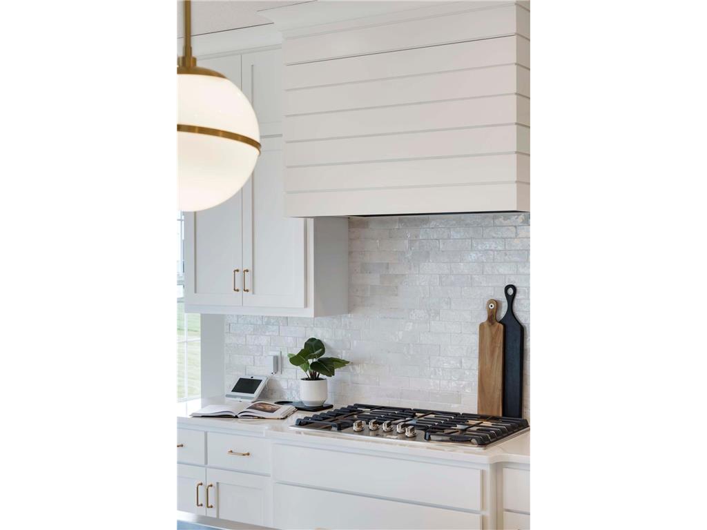 6513 Timber Arch Drive Chaska MN 55318 7011666 image21