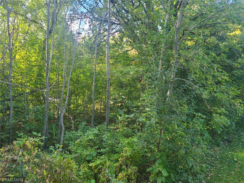 65164 365th Street Watkins MN 55389 - Clear Lake 6611870 image15