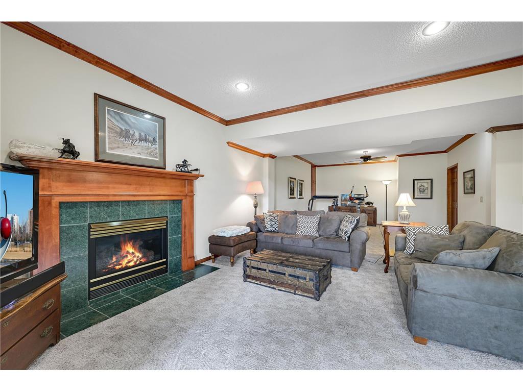 6524 Aster Circle Victoria MN 55331 - Virginia 6766819 image43