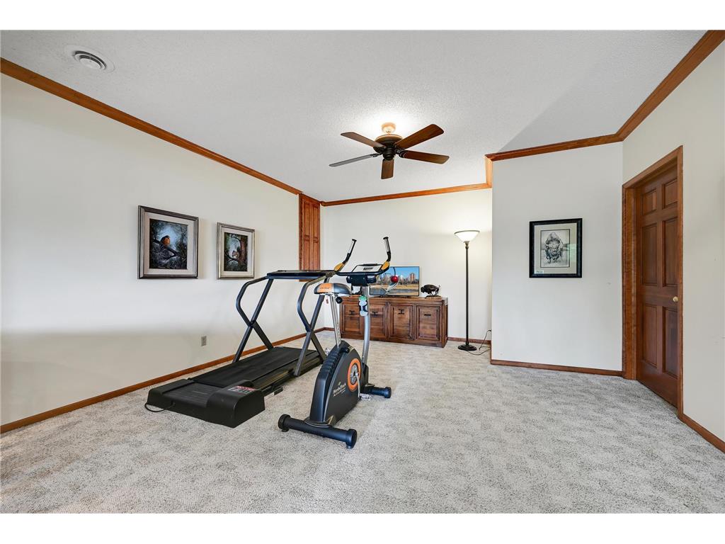 6524 Aster Circle Victoria MN 55331 - Virginia 6766819 image44