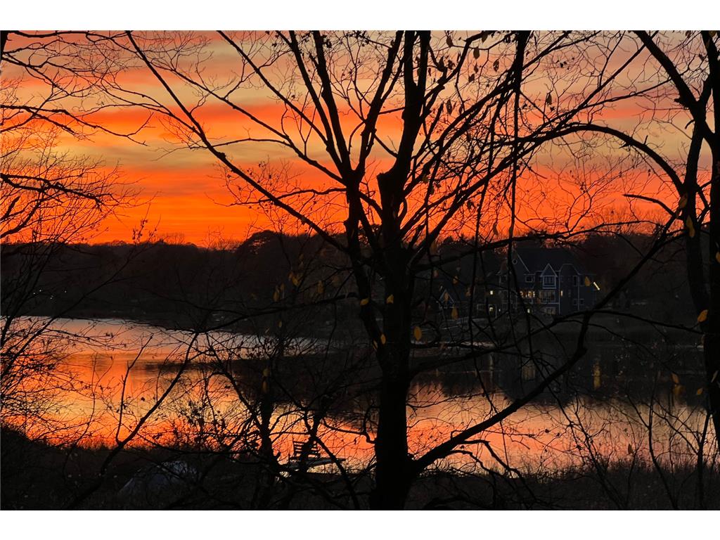 6524 Aster Circle Victoria MN 55331 - Virginia 6766819 image48