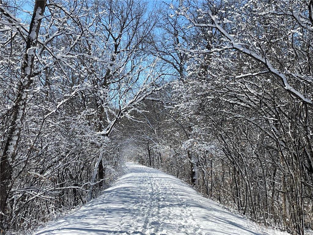 6524 Aster Circle Victoria MN 55331 - Virginia 6766819 image6