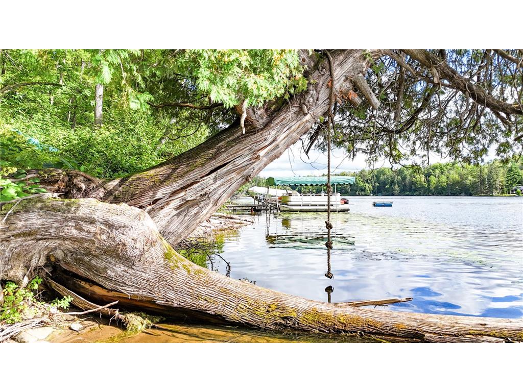 6525 Bloodroot Lane NE Crooked Lake Twp MN 56662 - Roosevelt 6583535 image1