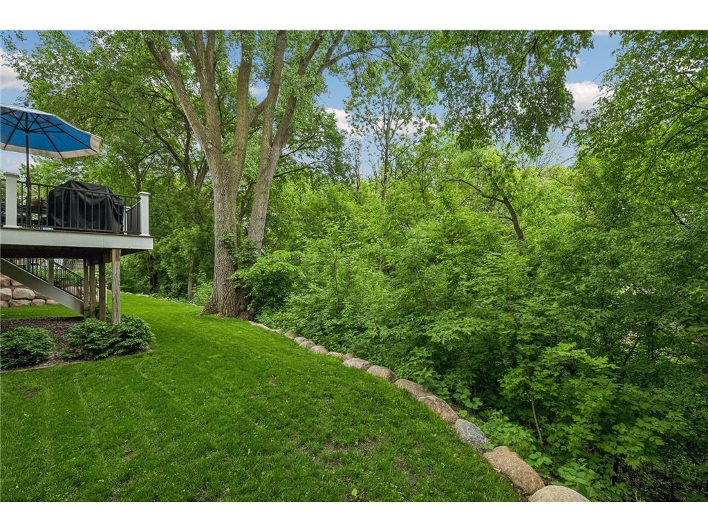 6533 Navaho Trail Edina MN 55439 7074161 image60