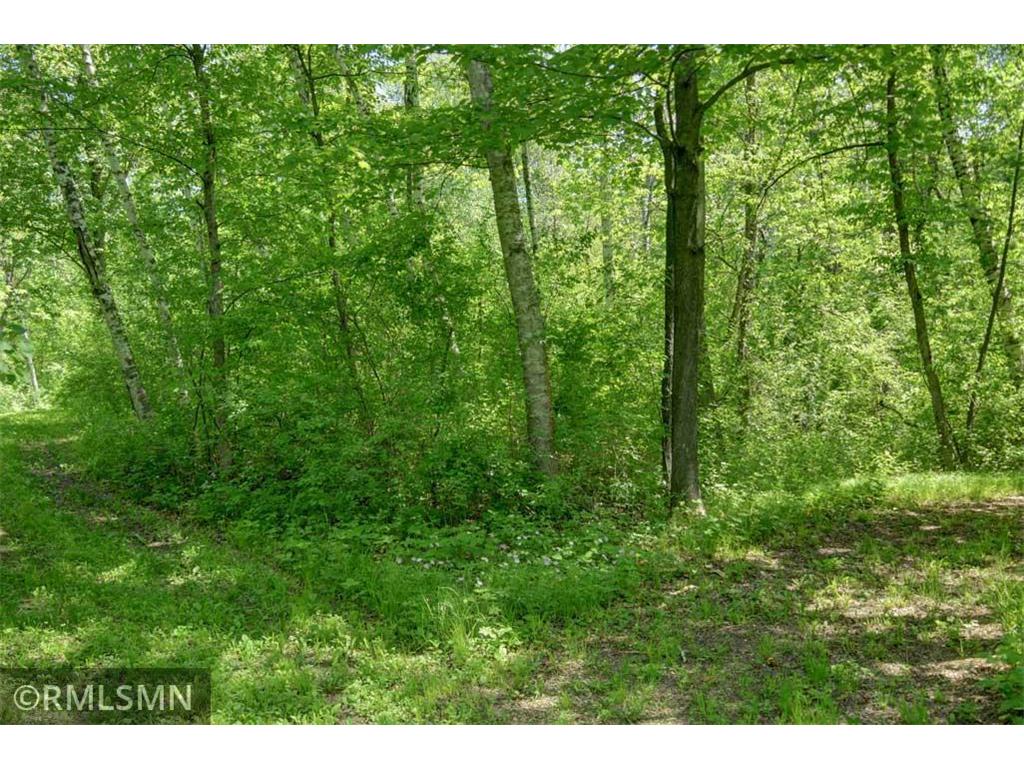 654 115th Street Lincoln Twp WI 54001 7075622 image102
