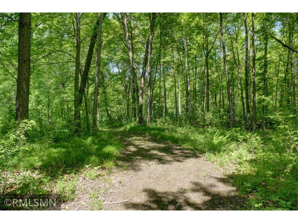 654 115th Street Lincoln Twp WI 54001 7075622 image106