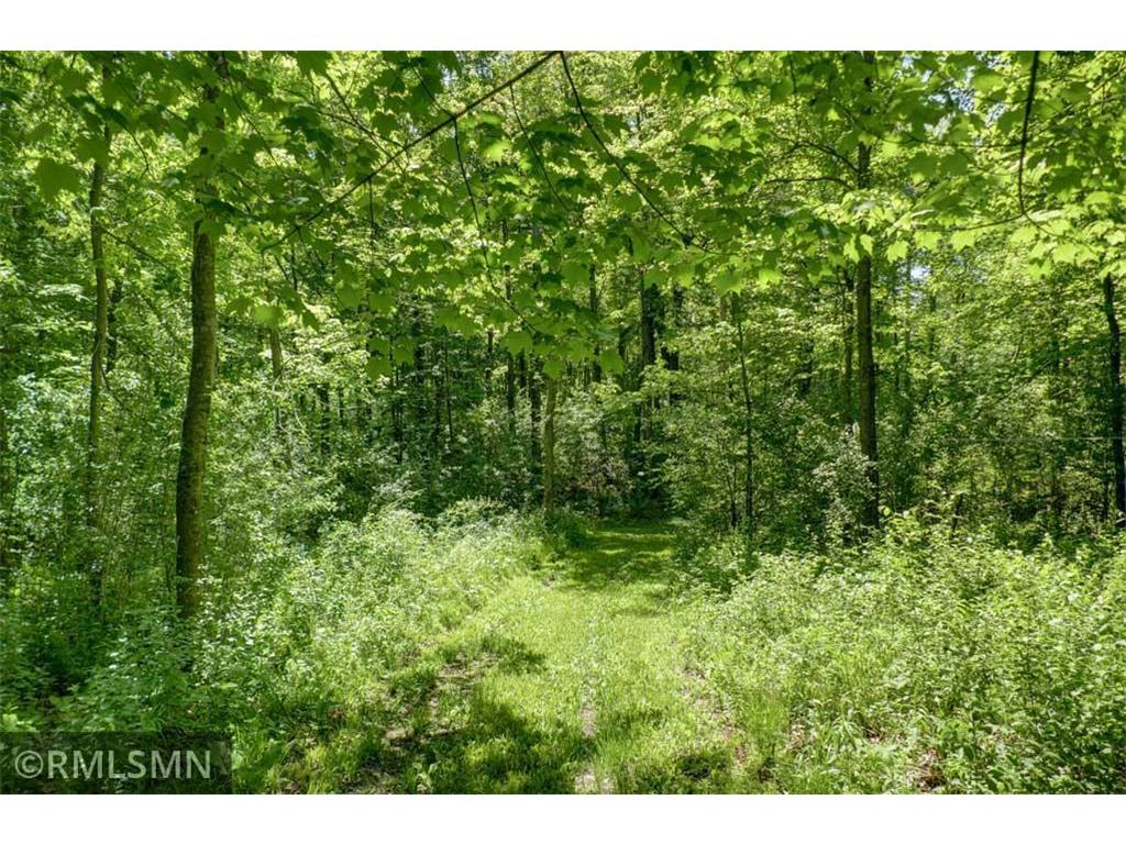 654 115th Street Lincoln Twp WI 54001 7075622 image107