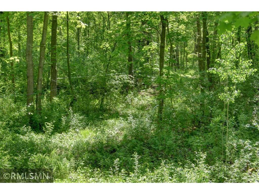 654 115th Street Lincoln Twp WI 54001 7075622 image108