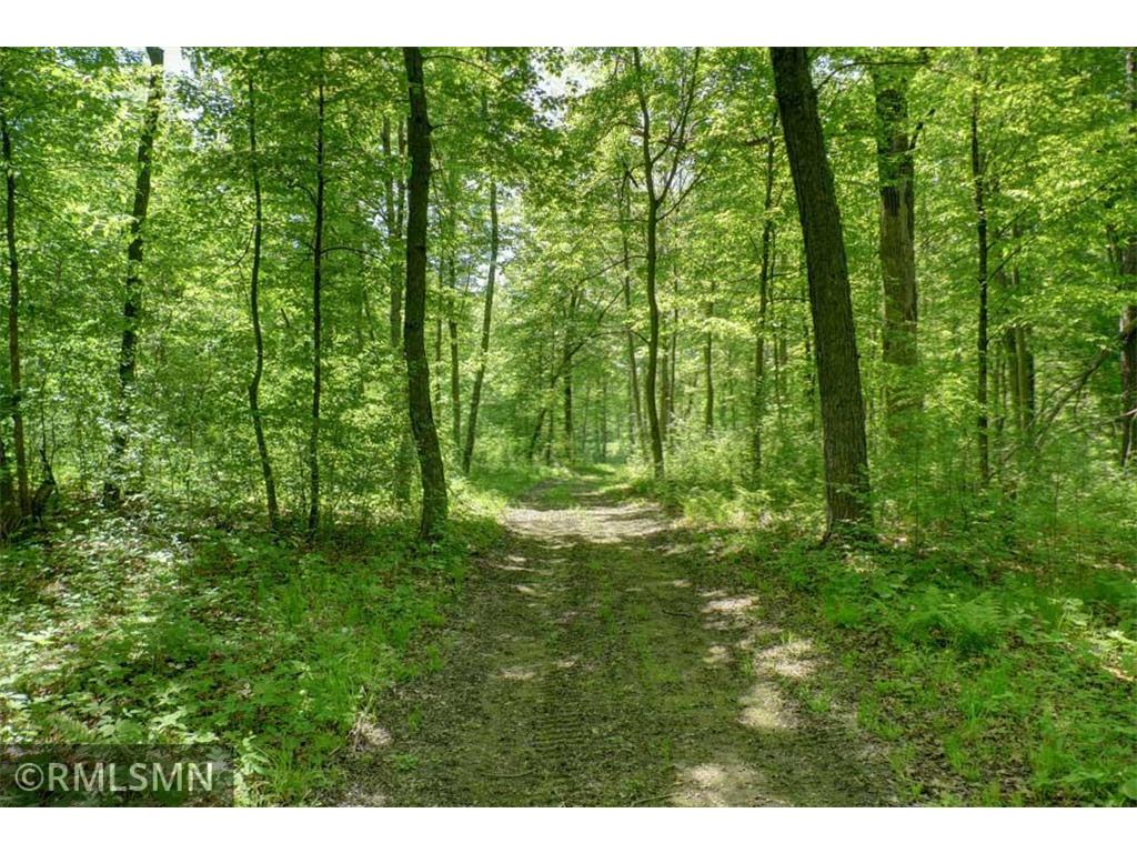 654 115th Street Lincoln Twp WI 54001 7075622 image109