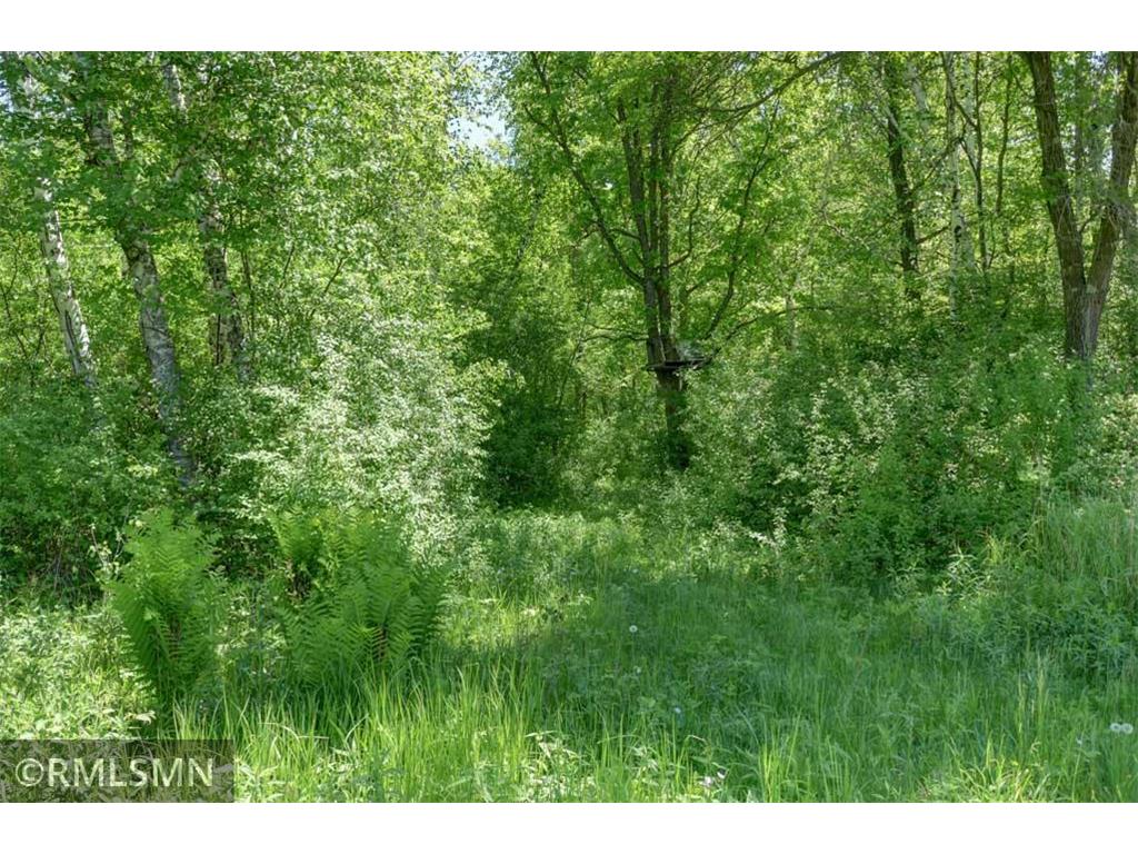 654 115th Street Lincoln Twp WI 54001 7075622 image96
